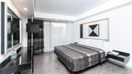 Hotel Harare Meksika Dış mekan fotoğraf
